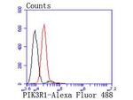 PI3K p85 alpha Antibody in Flow Cytometry (Flow)