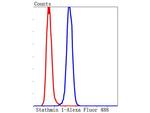 Stathmin 1 Antibody in Flow Cytometry (Flow)