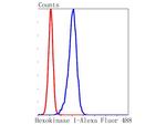 HK1 Antibody in Flow Cytometry (Flow)