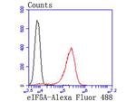 eIF5A Antibody in Flow Cytometry (Flow)