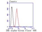 IKK alpha Antibody in Flow Cytometry (Flow)