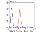 TRAF2 Antibody in Flow Cytometry (Flow)