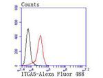 ITGA5 Antibody in Flow Cytometry (Flow)