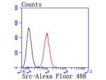 SRC Antibody in Flow Cytometry (Flow)