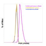 Progesterone Receptor Antibody