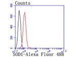 SOD1 Antibody in Flow Cytometry (Flow)