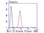 Bcl-2 Antibody in Flow Cytometry (Flow)