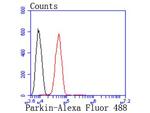 Parkin Antibody in Flow Cytometry (Flow)