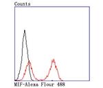 MIF Antibody in Flow Cytometry (Flow)