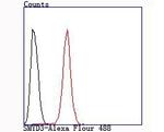 SMYD3 Antibody in Flow Cytometry (Flow)