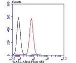 N-WASP Antibody in Flow Cytometry (Flow)