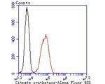 Citrate Synthase Antibody in Flow Cytometry (Flow)