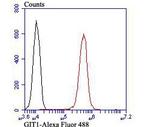 GIT1 Antibody in Flow Cytometry (Flow)