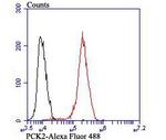 PCK2 Antibody in Flow Cytometry (Flow)