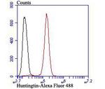 Huntingtin Antibody in Flow Cytometry (Flow)