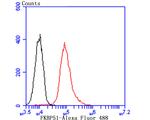 FKBP5 Antibody in Flow Cytometry (Flow)