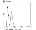 SMARCB1 Antibody in Flow Cytometry (Flow)