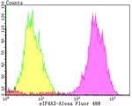 eIF4A3 Antibody in Flow Cytometry (Flow)