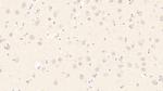 HSPA1B Antibody in Immunohistochemistry (Paraffin) (IHC (P))