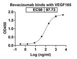 Bevacizumab Humanized Antibody in ELISA (ELISA)