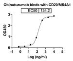 Obinutuzumab Humanized Antibody in ELISA (ELISA)