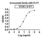 Icrucumab Antibody in ELISA (ELISA)