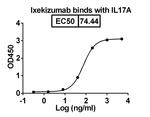 Ixekizumab Humanized Antibody in ELISA (ELISA)