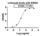 Lirilumab Antibody in ELISA (ELISA)