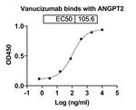 Vanucizumab Humanized Antibody in ELISA (ELISA)