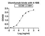 Utomilumab Antibody in ELISA (ELISA)