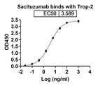 Sacituzumab Humanized Antibody in ELISA (ELISA)