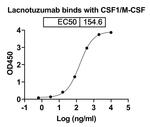 Lacnotuzumab Humanized Antibody in ELISA (ELISA)