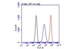 CA19-9 Antibody in Flow Cytometry (Flow)