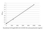 SARS/SARS-CoV-2 Nucleocapsid Antibody in ELISA (ELISA)