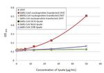 SARS/SARS-CoV-2 Nucleocapsid Antibody in ELISA (ELISA)