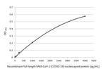 SARS/SARS-CoV-2 Nucleocapsid Antibody in ELISA (ELISA)