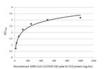 SARS/SARS-CoV-2 Spike Protein S2 Antibody in ELISA (ELISA)