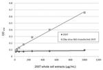 Zika Virus NS1 Antibody in ELISA (ELISA)