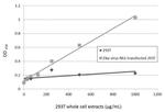 Zika Virus NS1 Antibody in ELISA (ELISA)