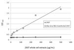 Zika Virus NS1 Antibody in ELISA (ELISA)