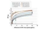 Influenza A NP Antibody in ELISA (ELISA)