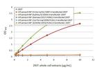 Influenza B NP Antibody in ELISA (ELISA)