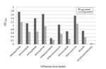 Influenza B NP Antibody in ELISA (ELISA)