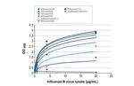 Influenza B NP Antibody in ELISA (ELISA)