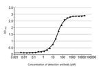 Influenza B NP Antibody in ELISA (ELISA)