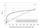 Influenza B NP Antibody in ELISA (ELISA)