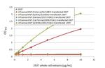 Influenza B NP Antibody in ELISA (ELISA)