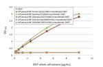 Influenza B NP Antibody in ELISA (ELISA)