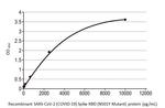 SARS-CoV-2 Spike Protein (RBD) Antibody in ELISA (ELISA)