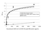 SARS-CoV-2 Spike Protein (RBD) Antibody in ELISA (ELISA)